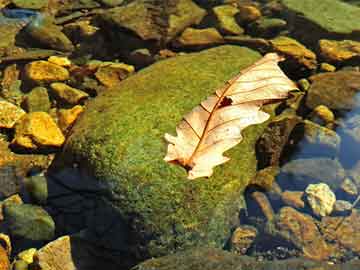 國(guó)產(chǎn)av無(wú)碼專區(qū)亞洲av蜜芽,智慧升級(jí)推動(dòng)成長(zhǎng)_榮譽(yù)版12.49.99