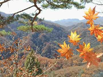 亞洲色欲色欲www,智能路徑精準(zhǔn)執(zhí)行方案_智聯(lián)版12.03.96