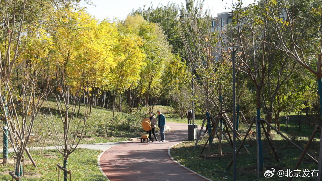 海淀北部新建社區(qū)公園開放，綠意盎然融入居民生活