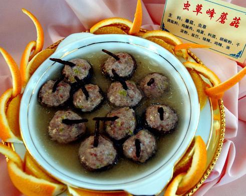 東陽光鮮蟲草創(chuàng)意養(yǎng)生美食之旅體驗(yàn)報(bào)告