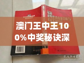 新澳門王中王100%期期中,精準(zhǔn)實(shí)施解析_Superior44.926