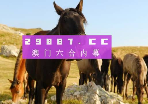 澳門管家婆-肖一碼,實(shí)地執(zhí)行考察方案_限量款93.662