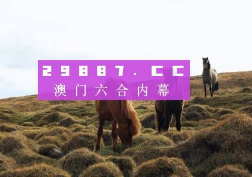 494949澳門今晚開獎什么,決策資料解釋落實_Tablet83.798