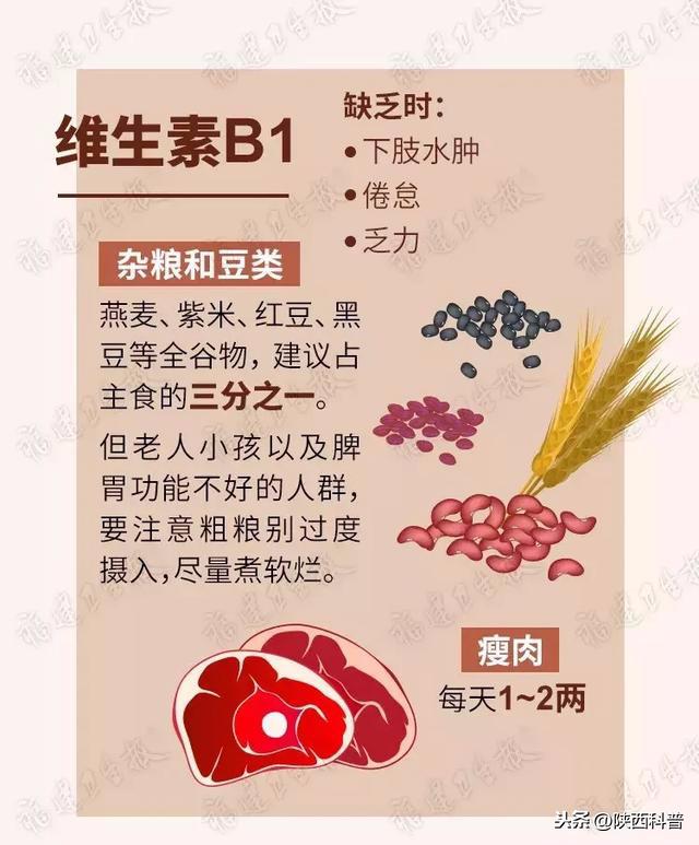 食療指南，如何通過飲食增加體內(nèi)維生素攝入量的秘訣