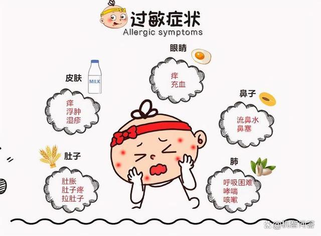 養(yǎng)生食譜助力緩解過敏癥狀之道