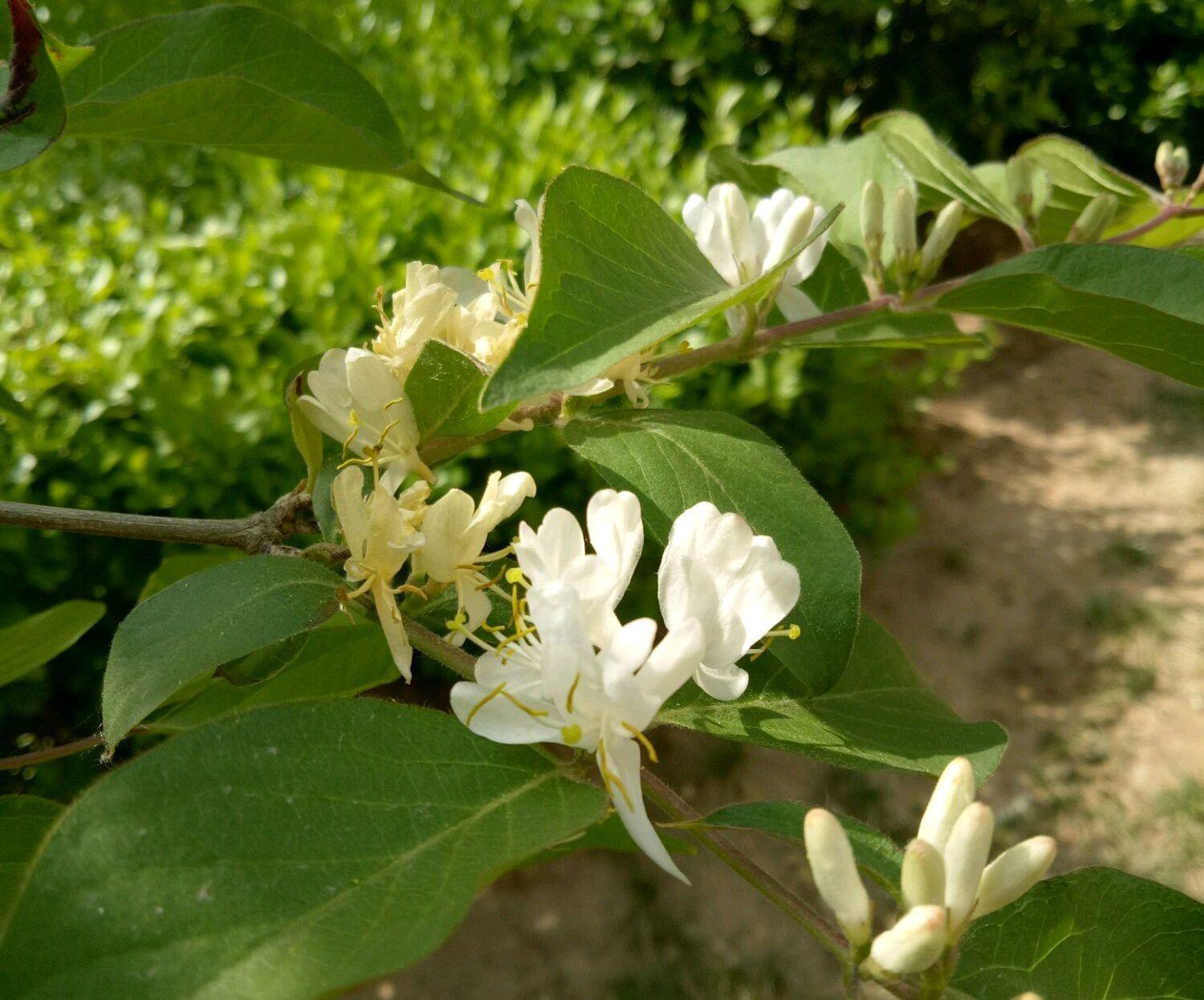 旅行時(shí)如何保持水分平衡，預(yù)防脫水攻略