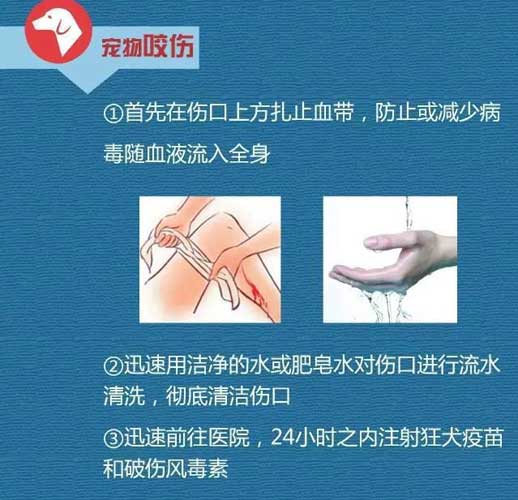 家庭急救指南，應對打傷傷口的處理方法