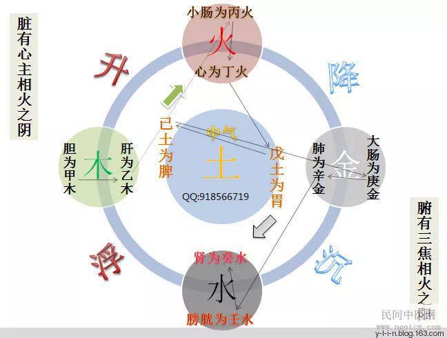 中醫(yī)陰陽五行理論在養(yǎng)生中的實踐應用