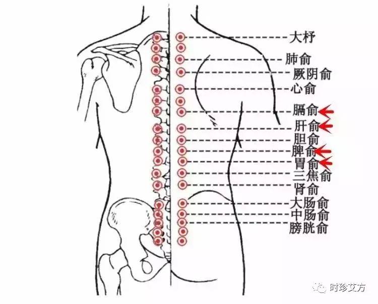 中醫(yī)艾灸緩解背部疼痛，理論與實(shí)踐研究探索