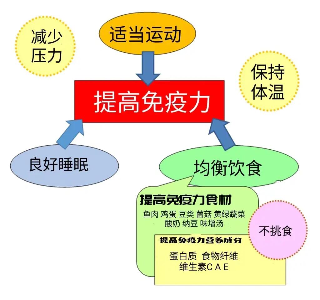 兒童的體質(zhì)調(diào)理與免疫增強養(yǎng)生法