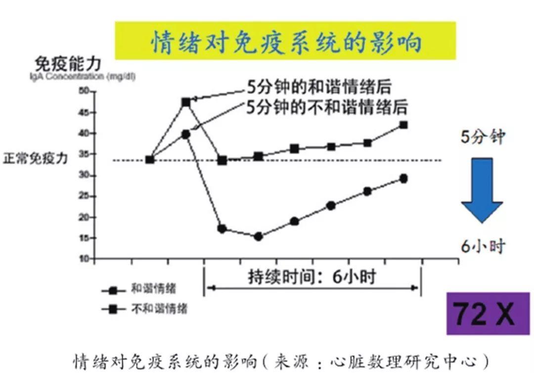 如何管理情緒，減少對身體的負(fù)面影響,精準(zhǔn)路徑優(yōu)化系統(tǒng)_樂享版42.67.83