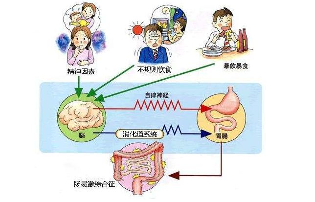 如何通過正向情緒提升身體健康,精準(zhǔn)系統(tǒng)流程掌控_視野升級77.63.02