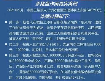 防范網(wǎng)上金融投資詐騙的應(yīng)對策略,路徑方案落地實踐_錦程版31.64.23